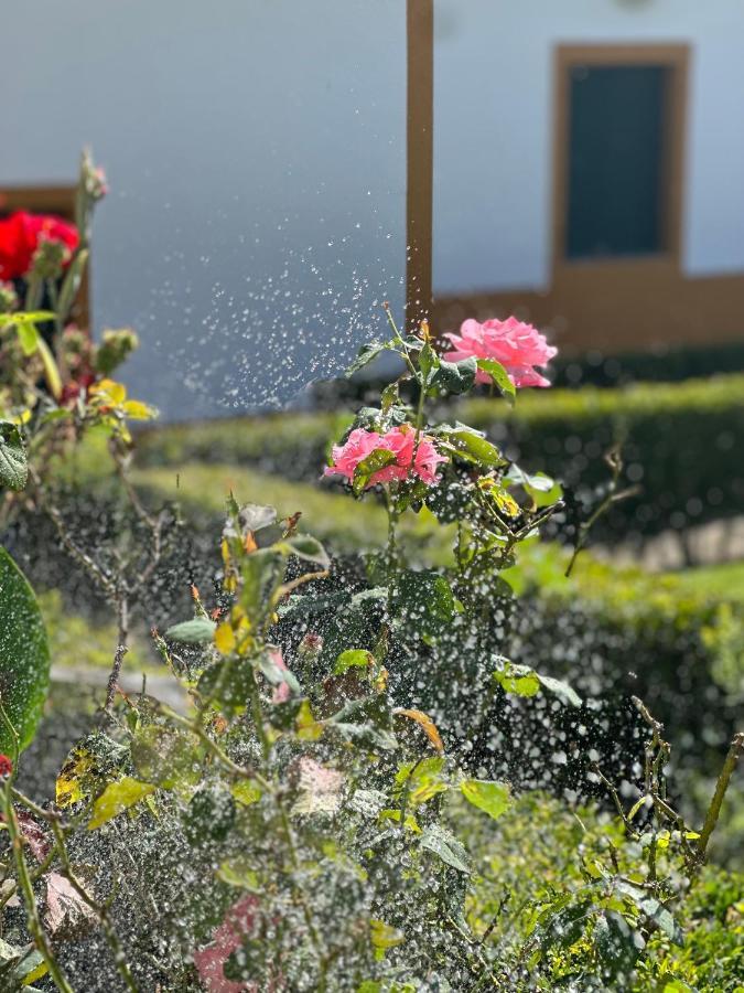 Solar Nossa Senhora Da Conceicao Villa Capelas Eksteriør bilde
