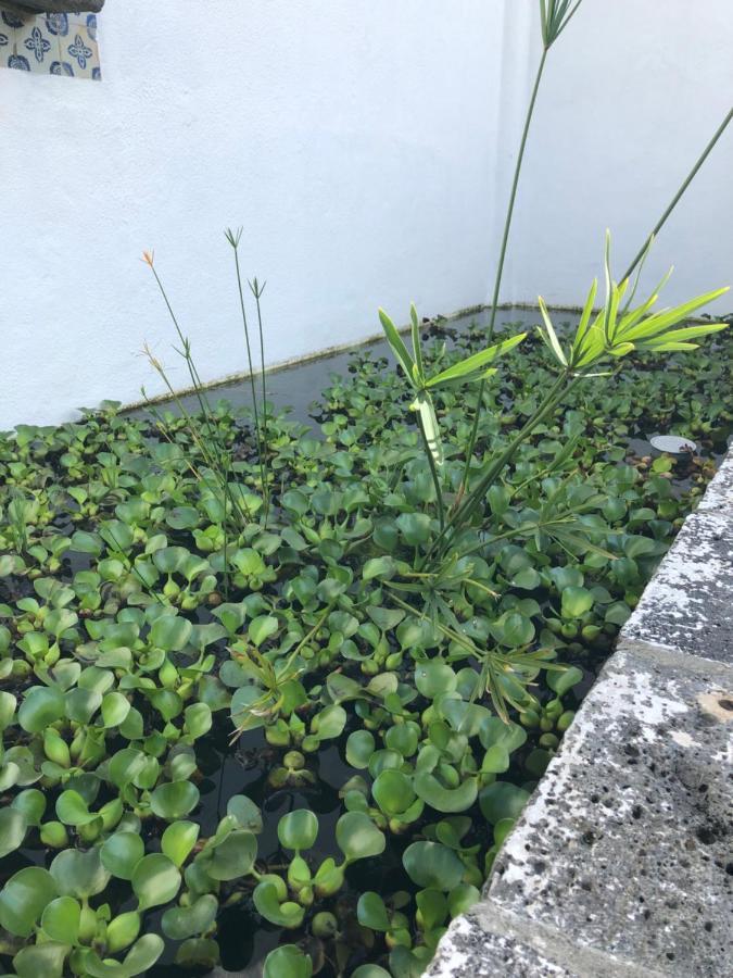 Solar Nossa Senhora Da Conceicao Villa Capelas Eksteriør bilde