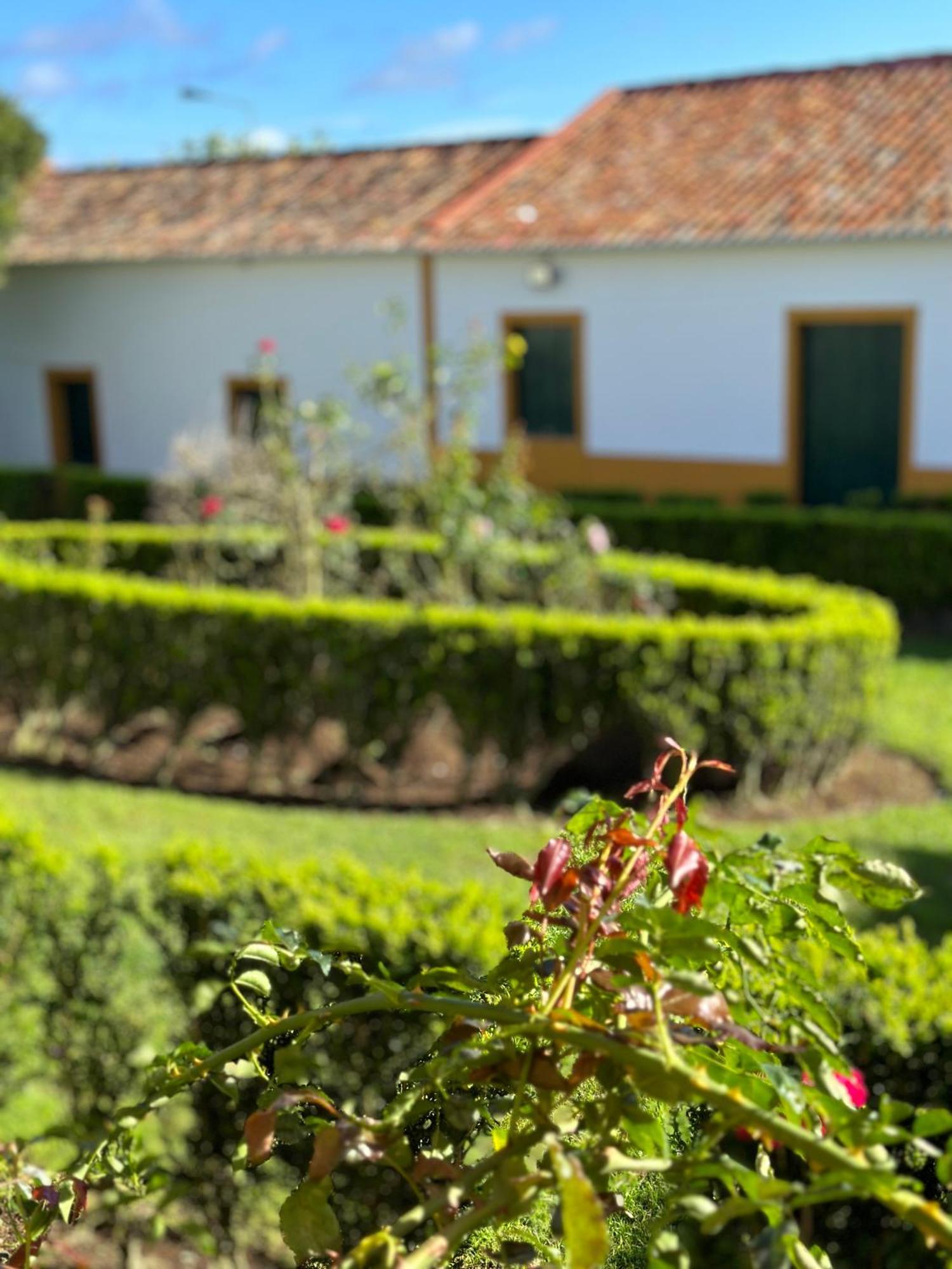 Solar Nossa Senhora Da Conceicao Villa Capelas Eksteriør bilde